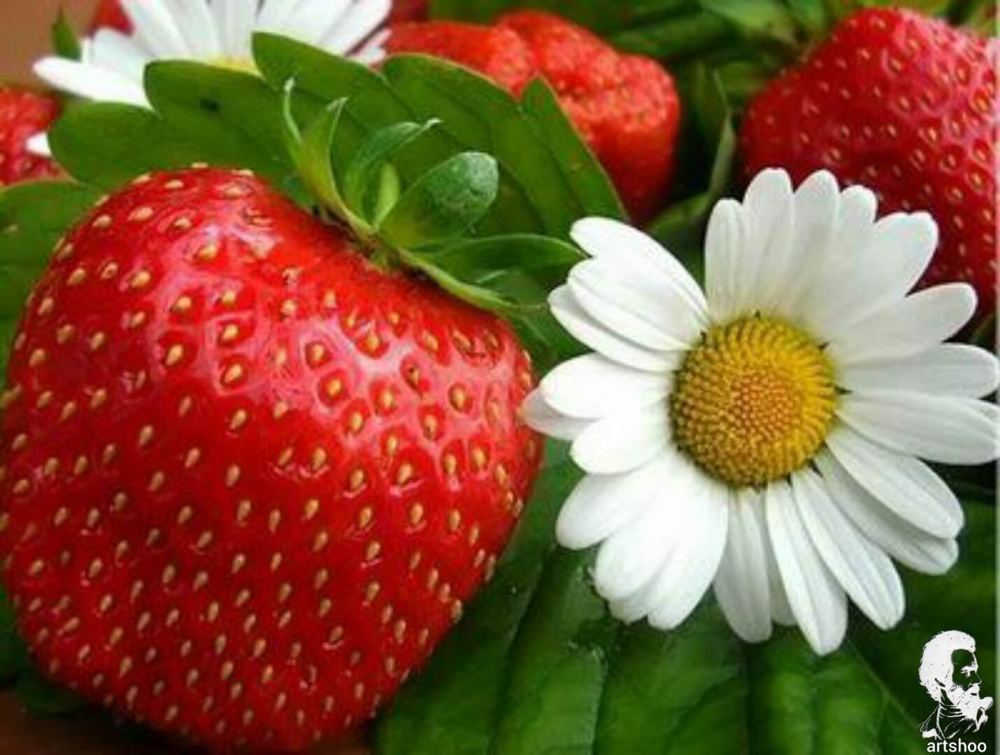 آموزش نقاشی رنگ روغن